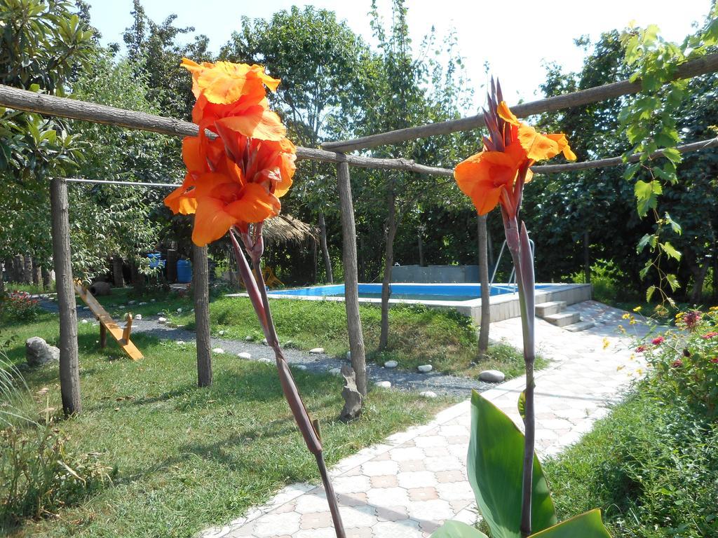 Nona Guest House Shilda Екстериор снимка